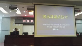 省農業院?？萍纪茝V服務聯盟專家赴拜泉縣指導食用菌生產 備春耕科技支農活動系列報道之二