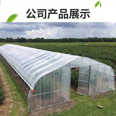 中科 透氣 一站式服務(wù) 外遮陽系統(tǒng) 擋風(fēng)擋雪 獨(dú)棟溫室大棚定做