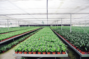 科技,讓現代農業告別&ldquo;靠天吃飯&rdquo;