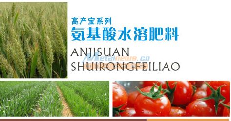 氨基酸水溶肥料價格怎么樣 鶴壁市禾盛生物科技