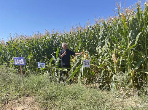 縣發(fā)改科技局開展農(nóng)業(yè)科技試驗(yàn)示范成果觀摩暨特派員交流學(xué)習(xí)現(xiàn)場會(huì)