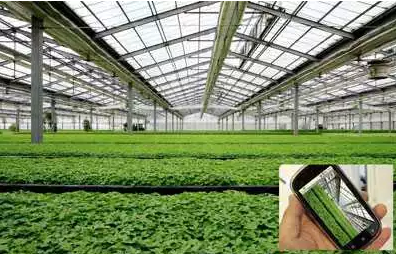 關(guān)于智慧農(nóng)業(yè),農(nóng)業(yè)部準(zhǔn)備這么干!(有補(bǔ)貼哦~)