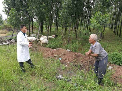 平頂山石龍區(qū)強(qiáng)化科技服務(wù) 助推農(nóng)業(yè)增效農(nóng)民增收