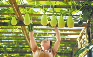 圖片新聞 四川日?qǐng)?bào)