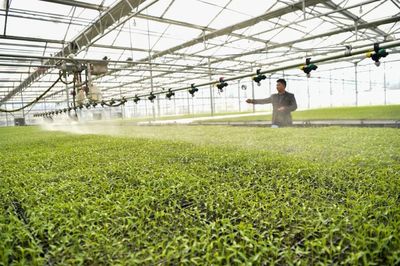 以服務(wù)之長(zhǎng),補(bǔ)農(nóng)業(yè)之短!