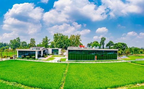 成都市溫江區(qū)高山村 科技綠動(dòng)田野 和美鄉(xiāng)村繪新篇