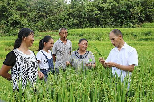 淄博人均gdp增長(zhǎng)形勢(shì)好,農(nóng)業(yè)科技化出力可不小