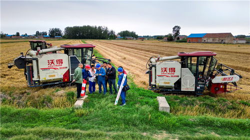 國(guó)網(wǎng)滁州供電公司 奮戰(zhàn) 三夏 保障定遠(yuǎn)138萬(wàn)畝小麥顆粒歸倉(cāng)