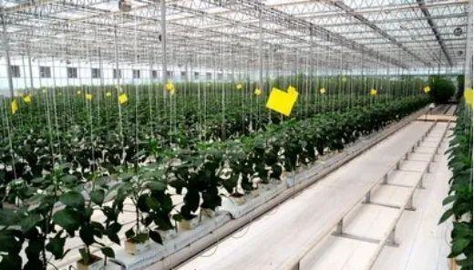 農業特色小鎮中的三大類產業,缺一不可