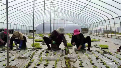 甘肅榆中縣:&ldquo;三抓&rdquo;聚合力 疫情防控保春耕