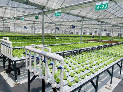 補(bǔ)貼上百萬!數(shù)字農(nóng)業(yè)工廠:智能化、自動(dòng)化的農(nóng)業(yè)生產(chǎn)新模式