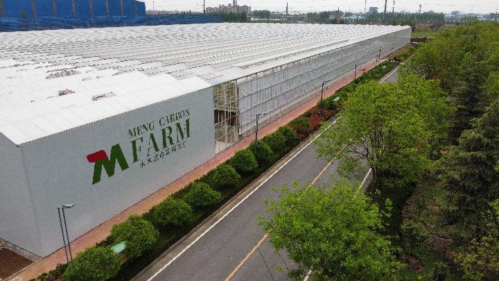 奮進(jìn)新征程 建功新時代&middot;老區(qū)新貌丨太行山革命老區(qū):&ldquo;紅綠交織&rdquo;繪就太行新畫卷