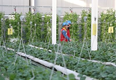 黨員服務(wù)隊員們上門走訪。閆蓓供圖