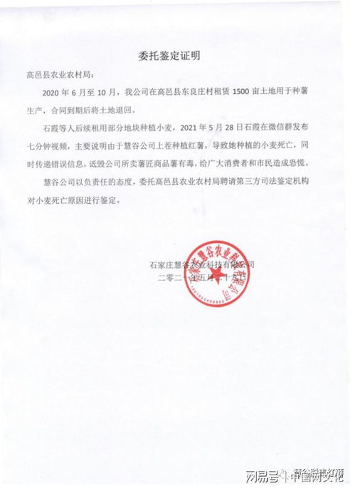 河北1500畝土地種 毒紅薯 致小麥絕收 涉事公司 嚴(yán)重不實