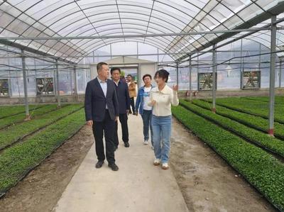 隴南武都區(qū):統(tǒng)戰(zhàn)賦能農(nóng)旅融合 激活產(chǎn)業(yè)振興&ldquo;新動能&rdquo;