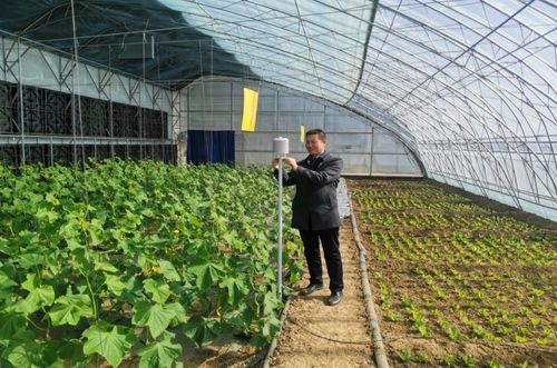 一年之計在于春，農氣聯手促增收：農業科技服務的創新與展望