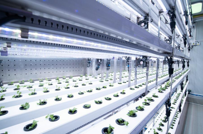 拼多多Q3財報發布 陳磊強調重倉“新質供給”與“電商西進”生態建設，深化農業科技服務