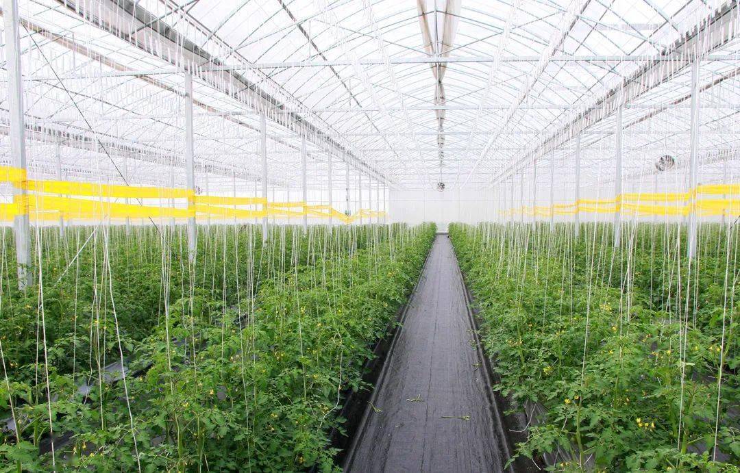 夯實生態底板 打造世界級殷實農場 農業科技服務