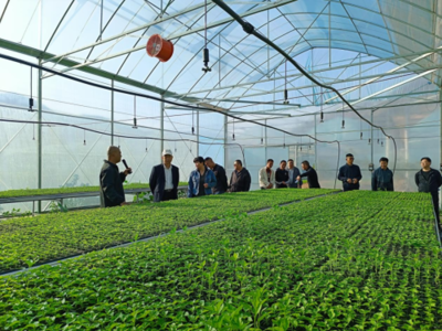 東川區現代農業產業園建成投入運行，賦能農業科技服務新篇章