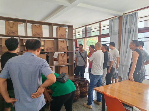 德宏州茶技站開(kāi)展茶葉科技培訓(xùn)，助力農(nóng)業(yè)科技服務(wù)